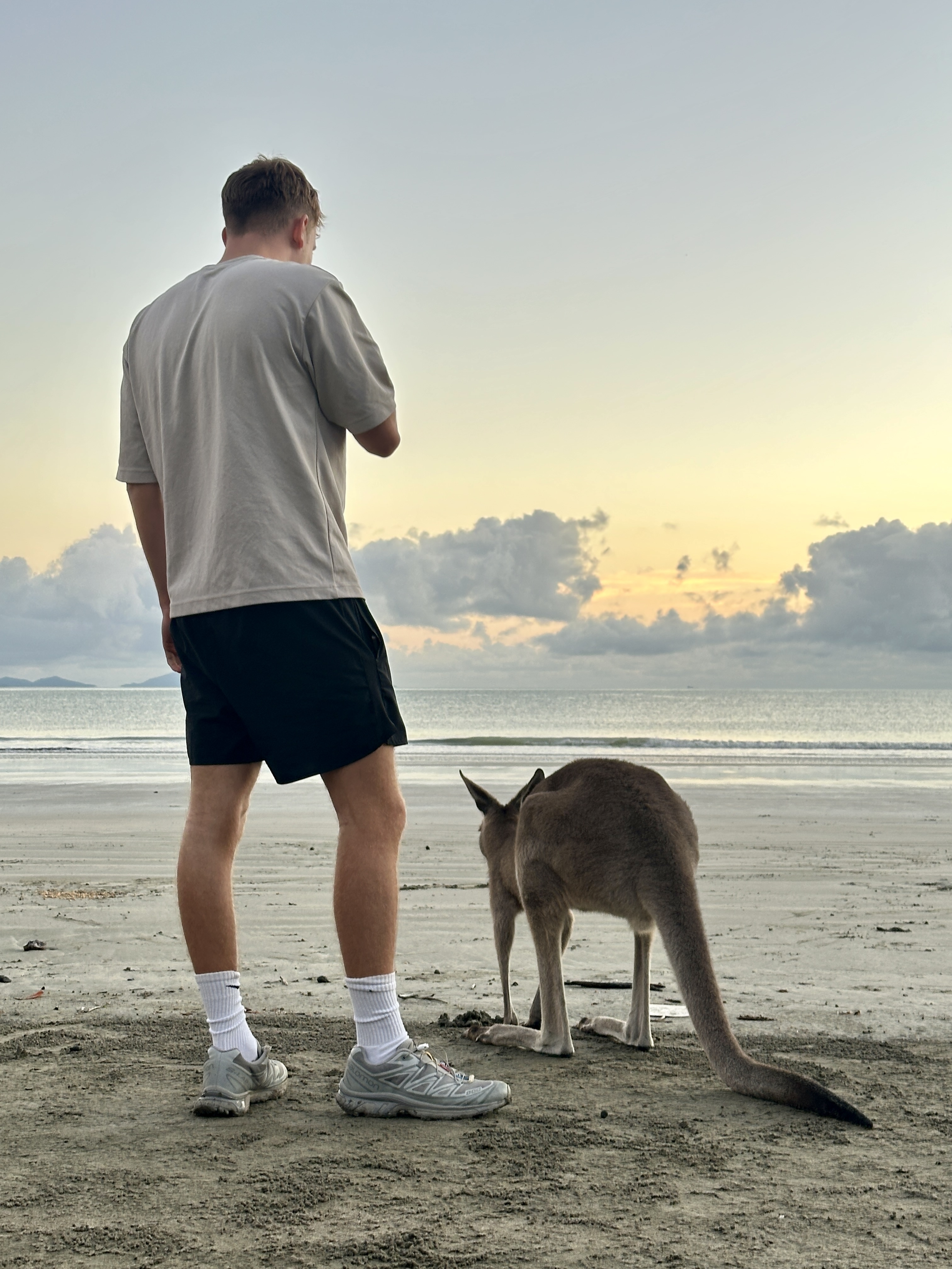 Beach Sunrise with the Wallabies