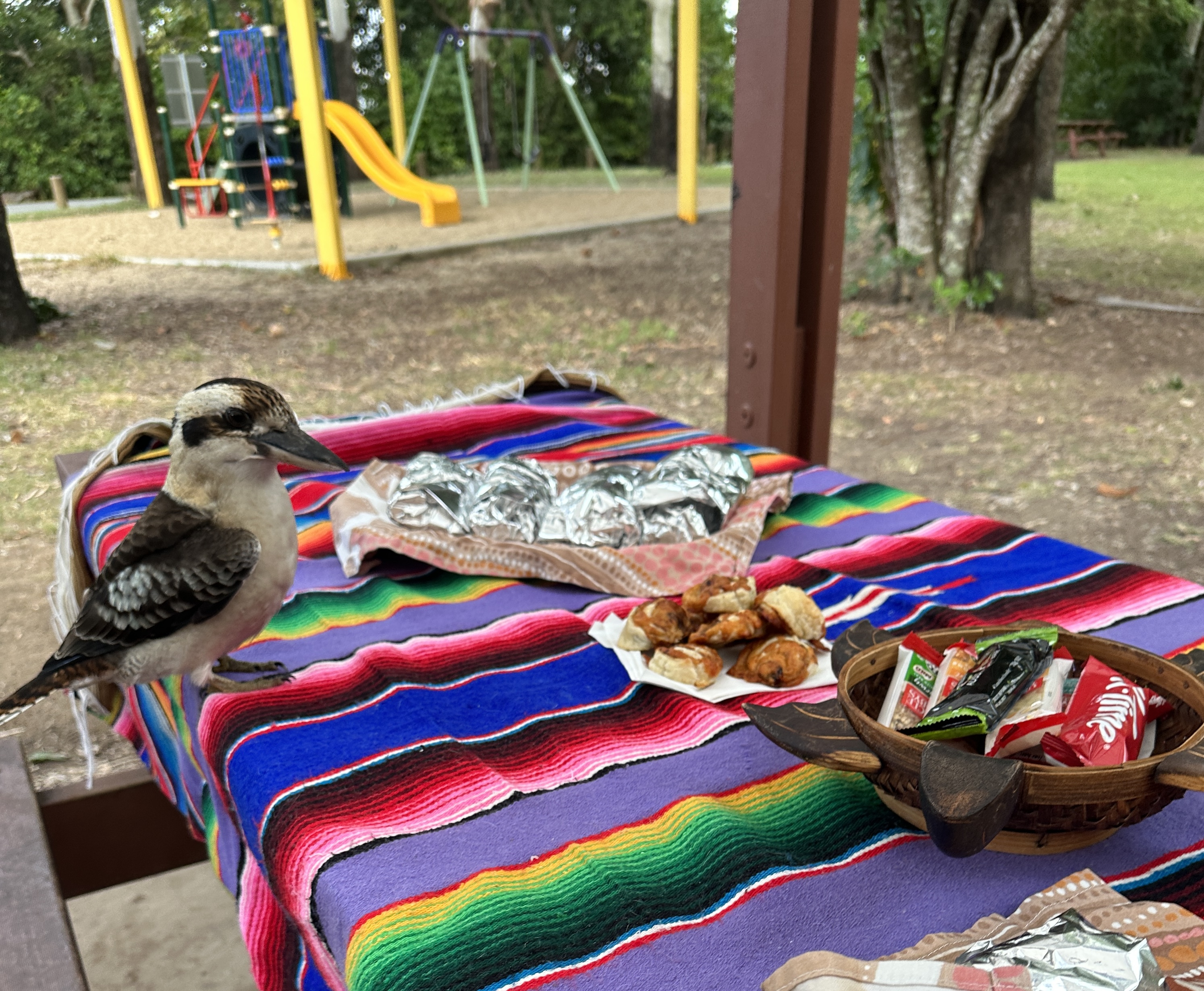 Beach Sunrise with the Wallabies