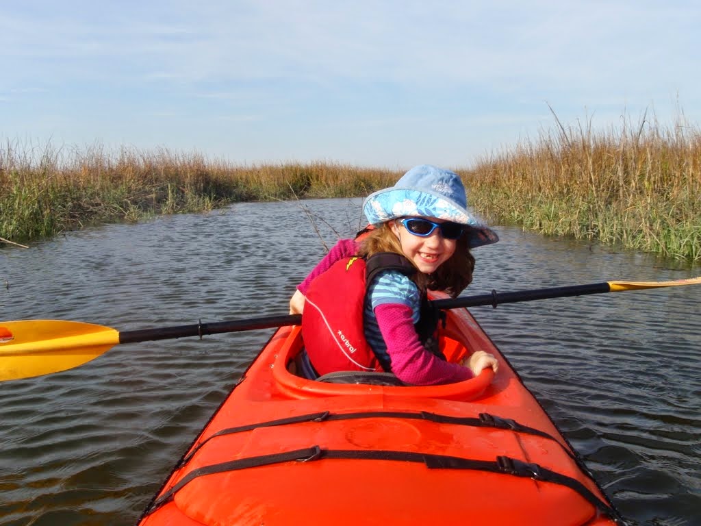 2 Hour Village Creek Landing St. Simons Kayak Nature Tour Southeast