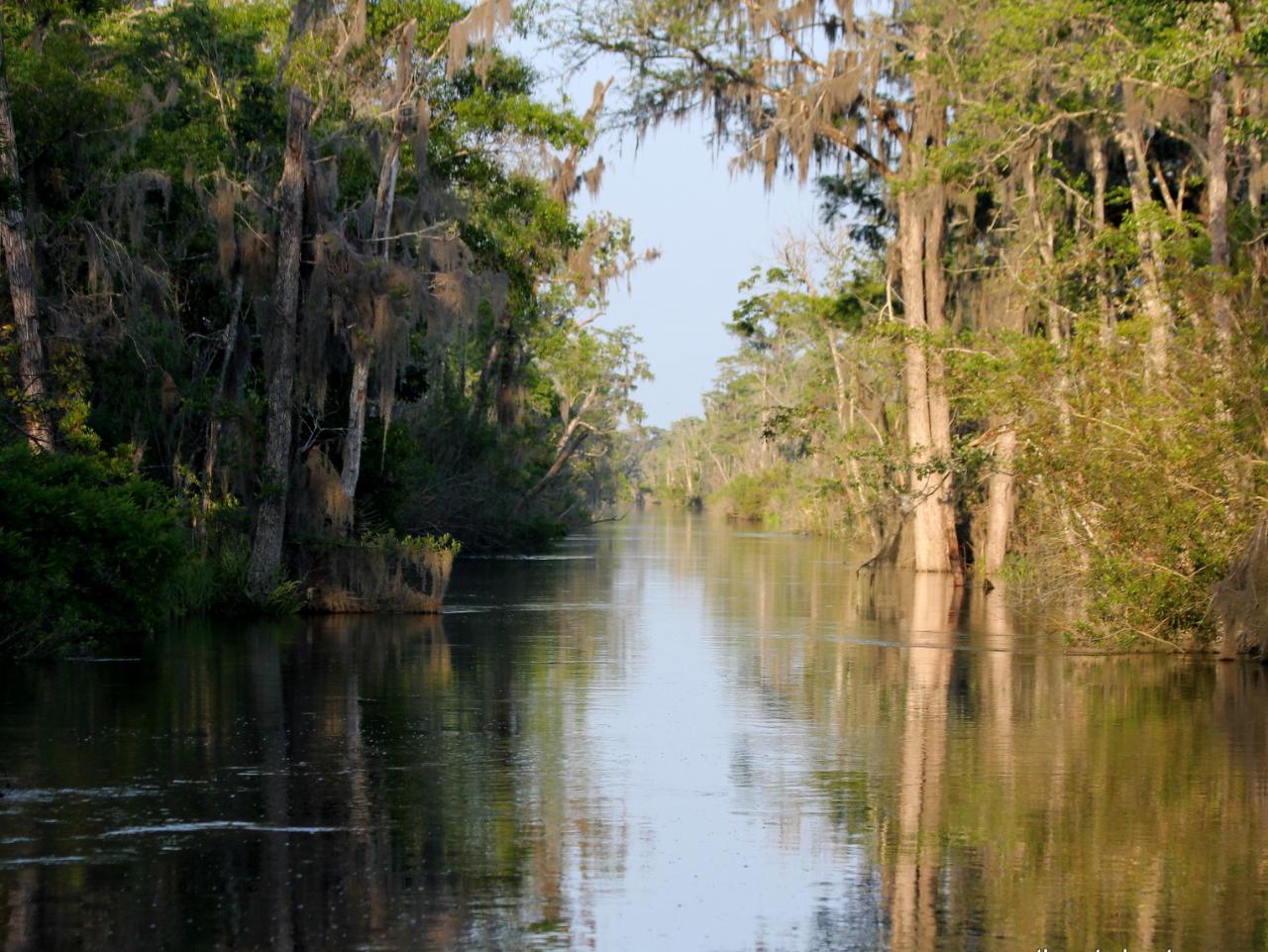 Conservancy Altamaha to Sea Paddle Kayak Rental 2023