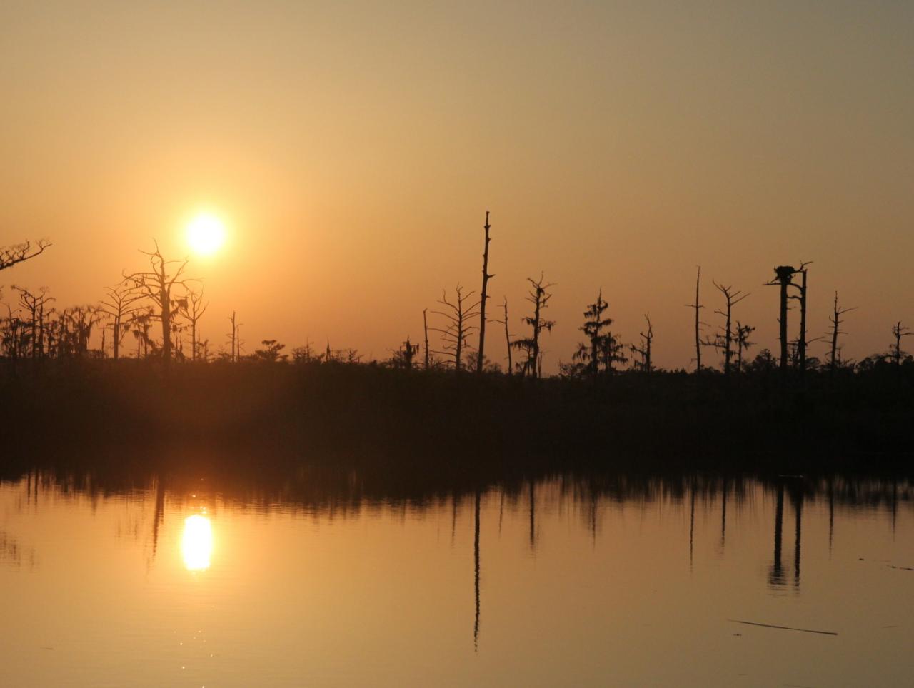 Conservancy Altamaha to Sea Paddle Kayak Rental 2023