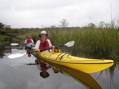 3 Hour Cathead Creek Kayak Tour