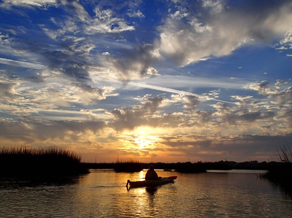 3 Hour St. Simons Kayak Tour (outgoing tide) Southeast Adventure