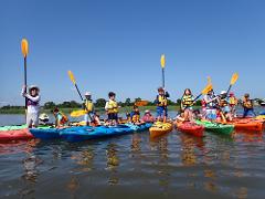 2 Hour Turtle Town Kayak Nature Tour