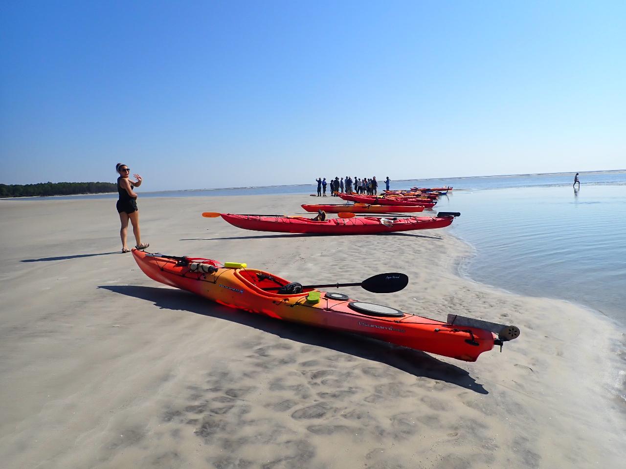 2 Hour East Beach  Kayak Eco-Tour