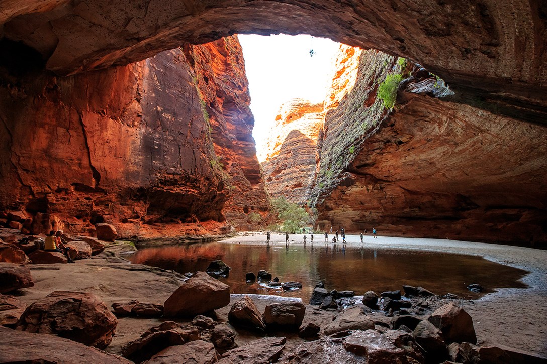 Intrepid Bus
