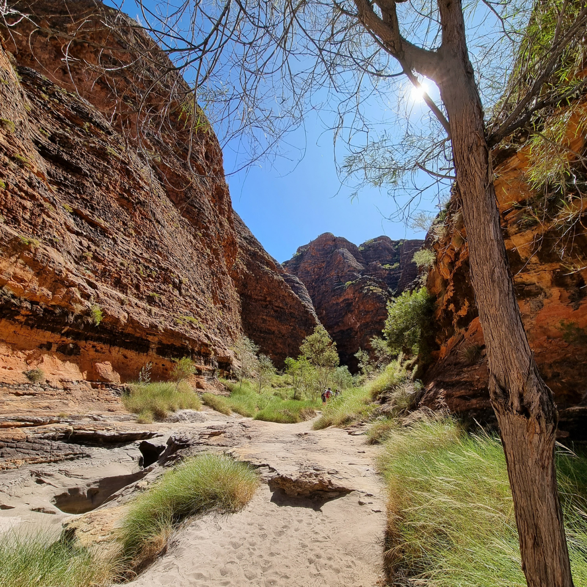 Broome to Purnululu (Bungles) Day Trek: Fly/ 4WD/ Trek