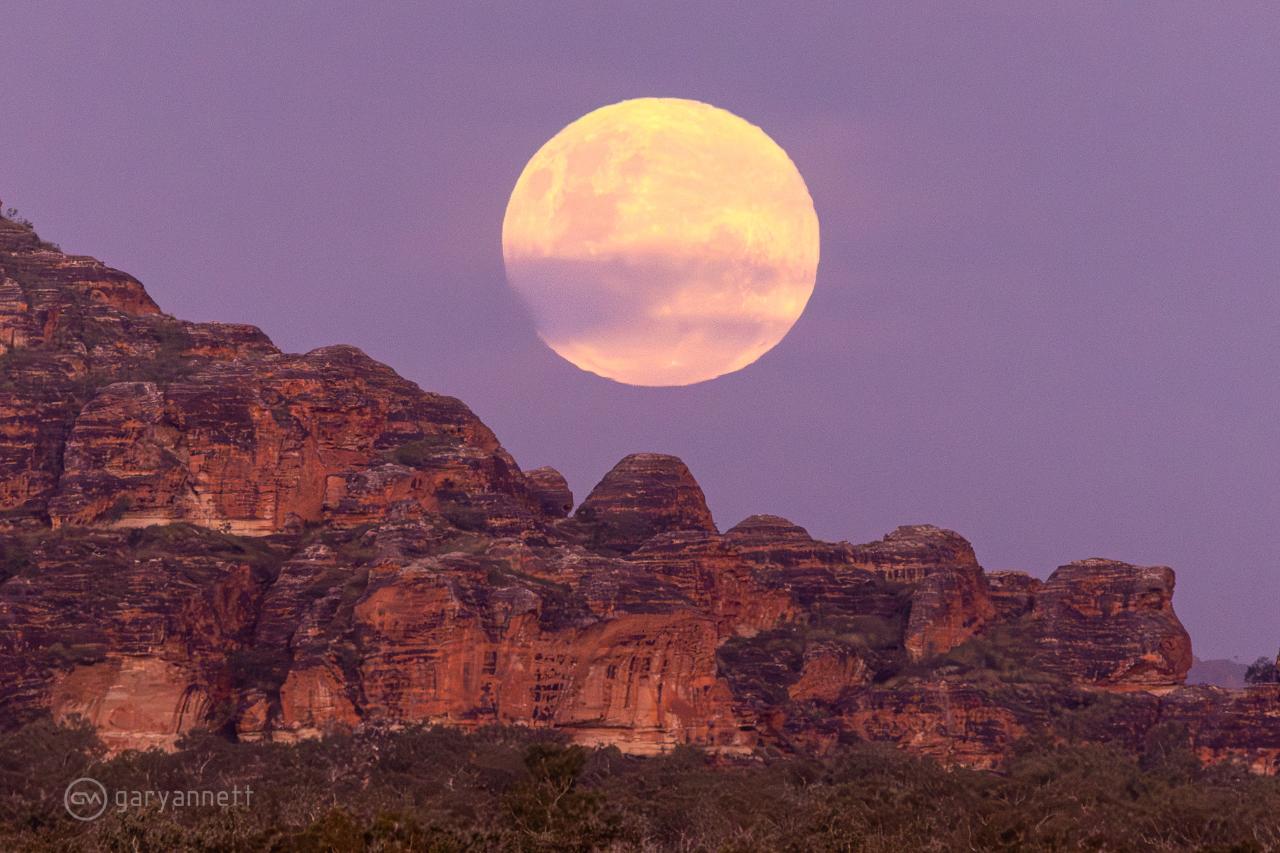 Bungles 4wd 2 days and 1 night safari 