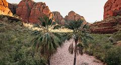 Bungle Bungles 4WD Adventure: Day Trek