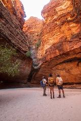 One Night Purnululu Experience - Cathedral Gorge & Echidna Chasm