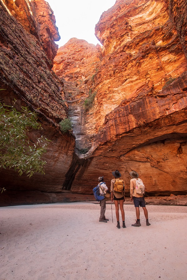 K1B+ Bungles Day Trek Extended (with Echidna Chasm)