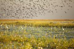 Kununurra to Purnululu 4WD Safari: 3 Days, 2 Night