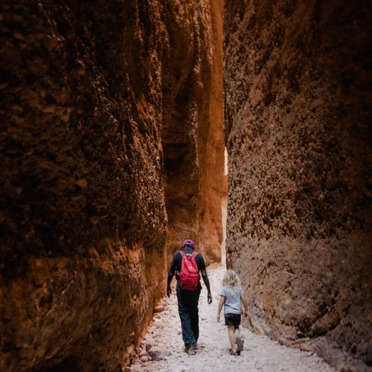 Halls Creek To Purnululu: Fly/ 4WD/ Trek+