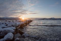 Winter Arctic Landscapes With Citizen Science