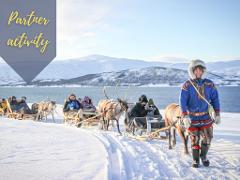 Long Reindeer Sledding, Feeding and Sami Culture