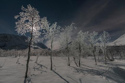 https://img.rezdy.com/PRODUCT_IMAGE/176932/snowshoeing_at_night_tromso_med.jpg
