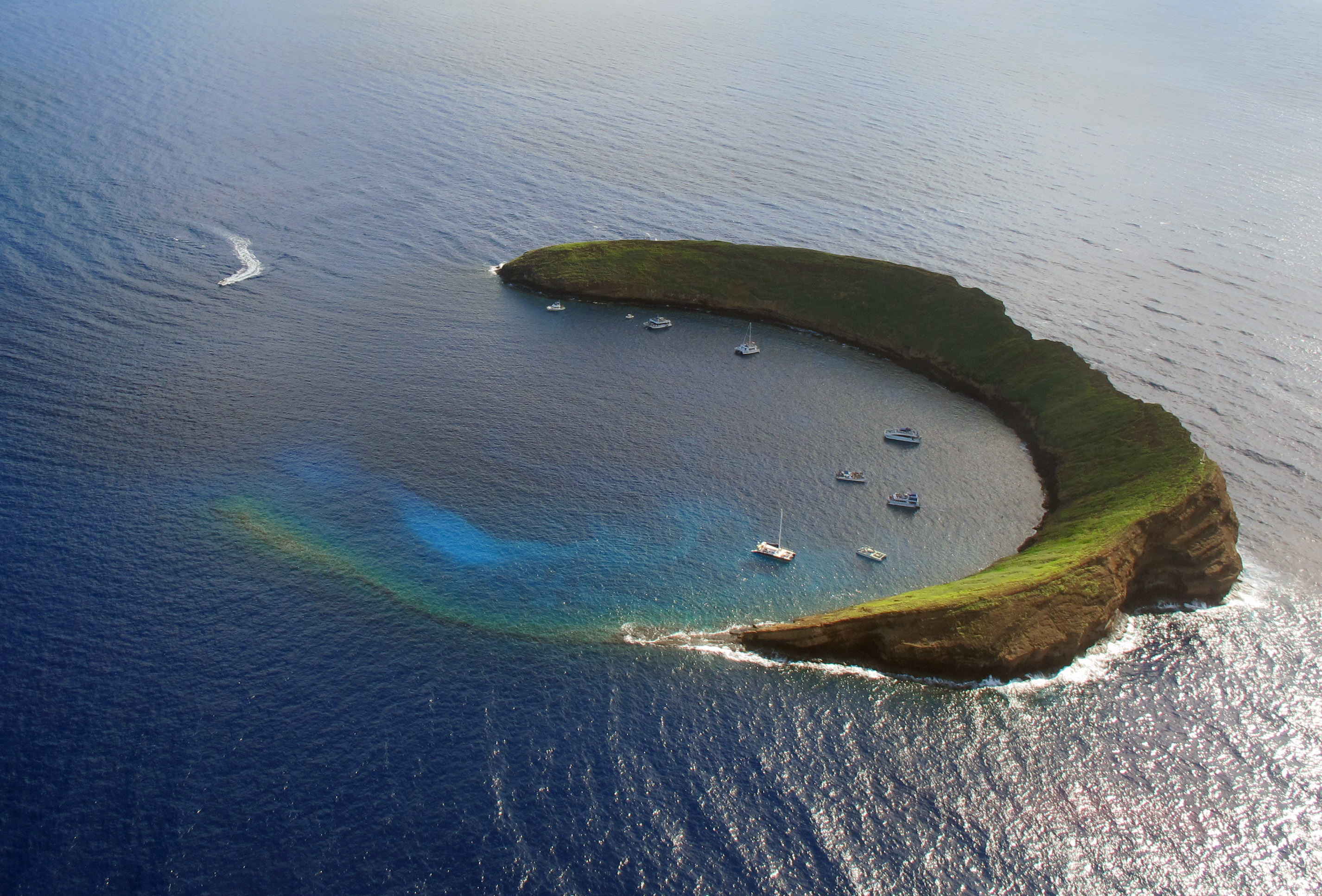 Molokini Double Backwall (prerequisite: 40 Logged Dives) - Maui Diamond 