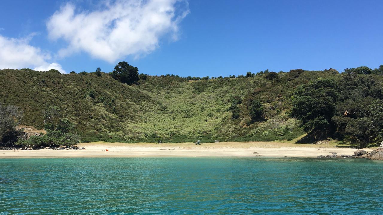 Waiheke Island Bush & Beach Walk Gift Card