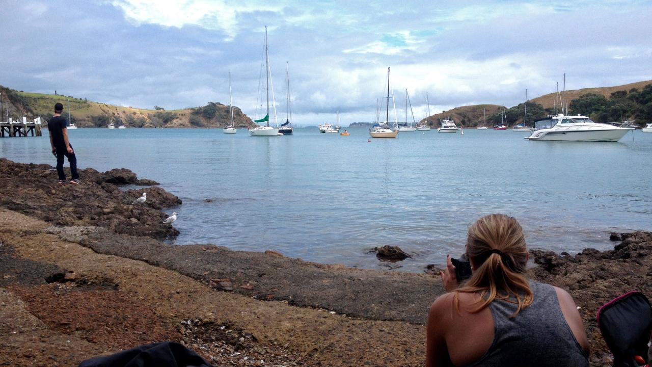 Waiheke Island Private Double Headland Walk