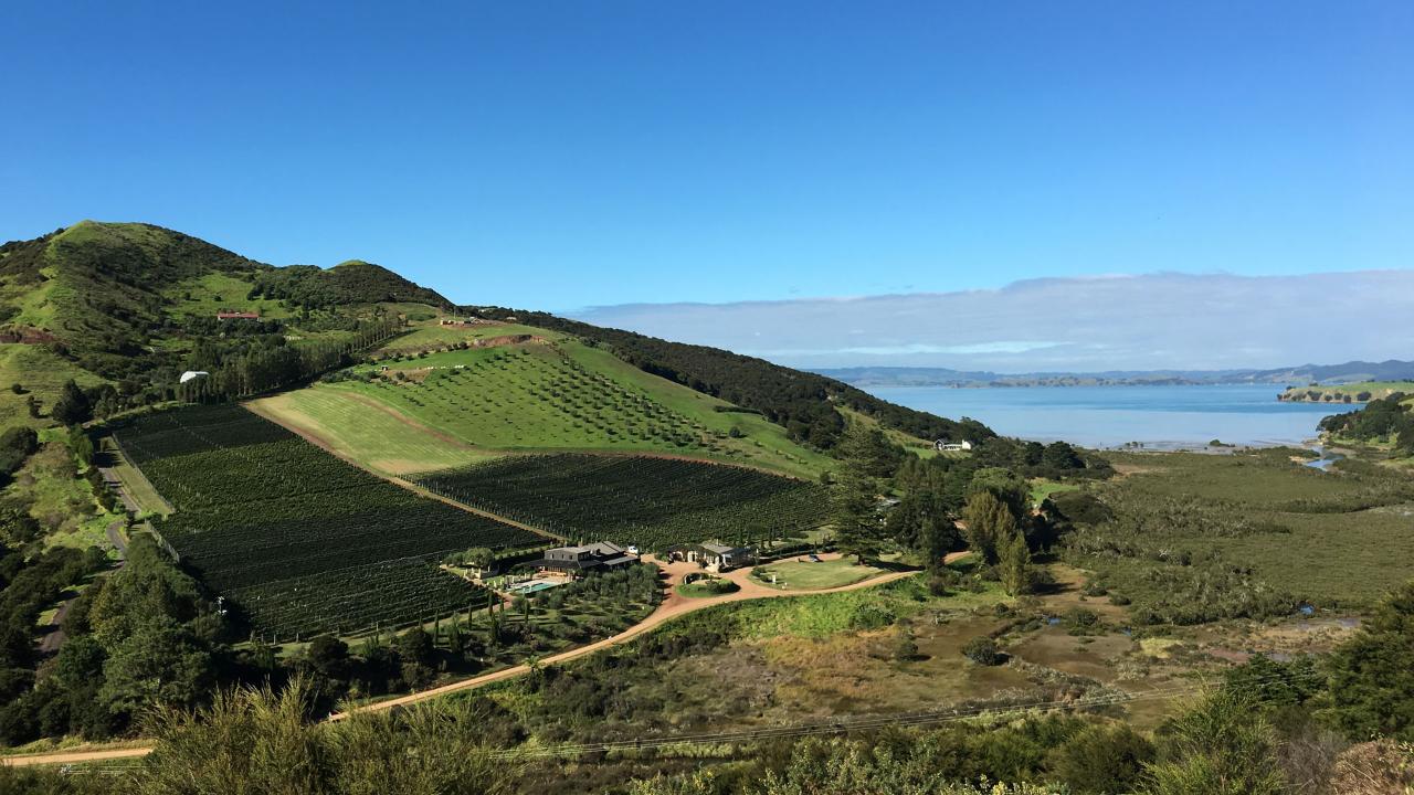 Waiheke Island Vineyards & Bush Walk Gift Card