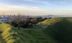 Golden Threads - exclusive Private Auckland Signature Tour