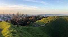 Private Auckland Personalised Tour - half day