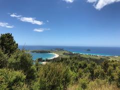 One Way - Private Scenic Transfer between Auckland and Bay of Islands