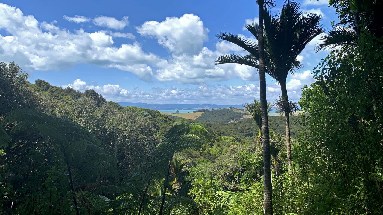 Waiheke Private Guided Te Ara Hura Walk