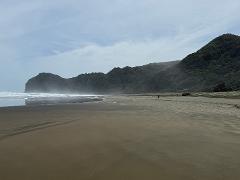 Private Waitakere Tour