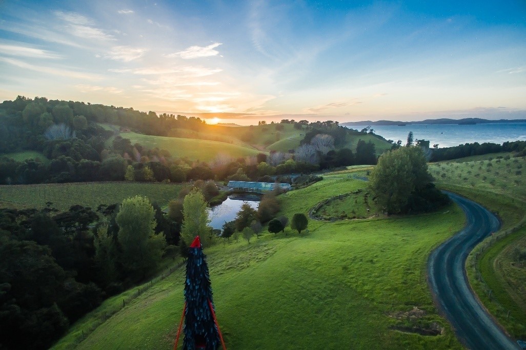 Private Matakana Personalised Tour