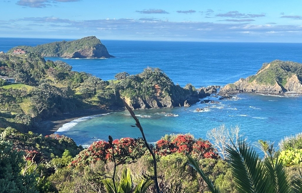 Private Tutukaka Explorer