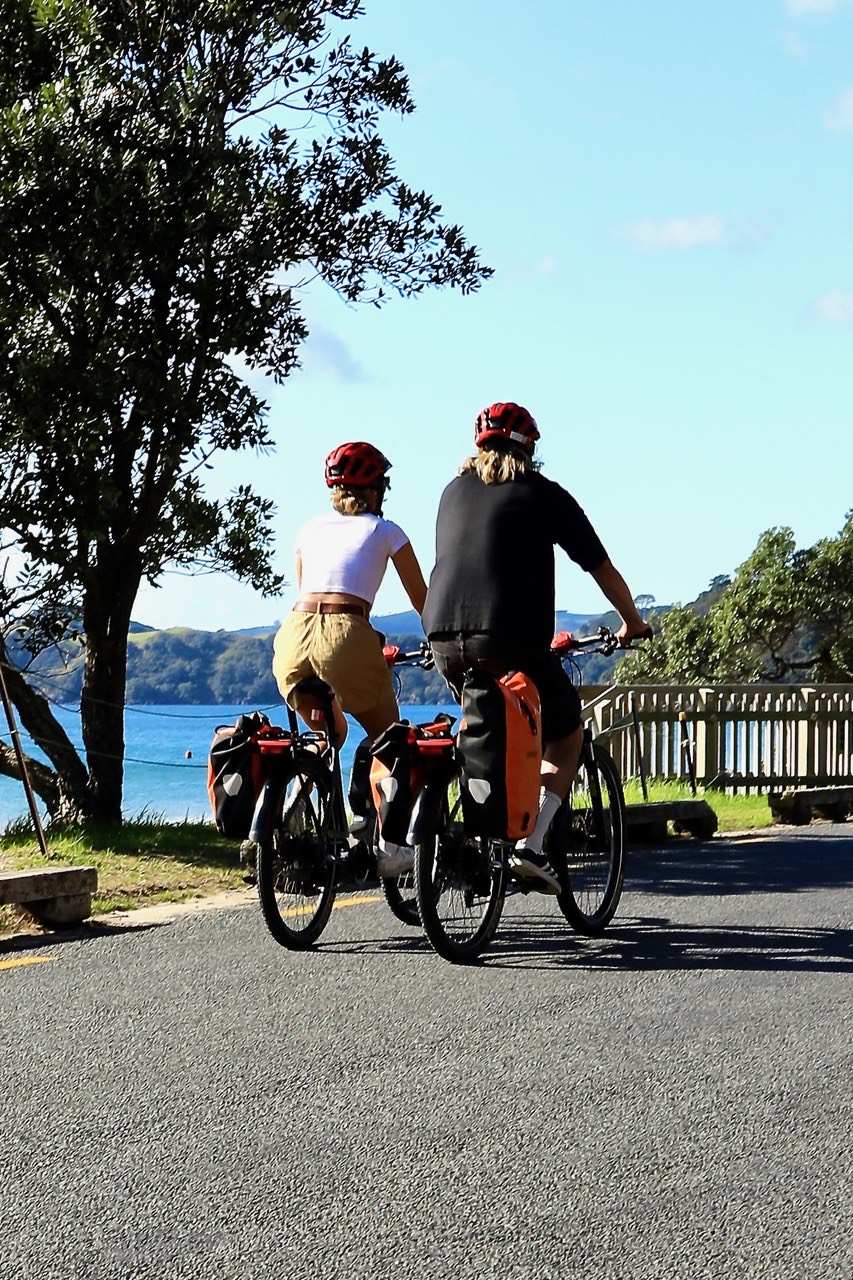 Private Waiheke Guided E-Bike Experience