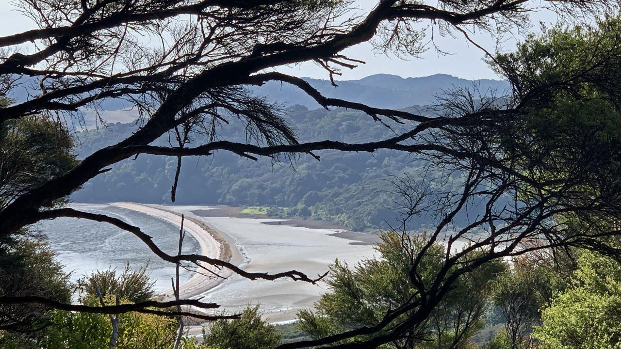 Waiheke Private Freedom Te Ara Hura Walk