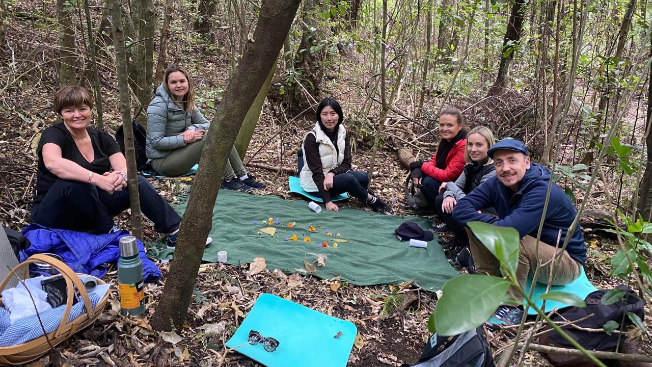 Wellbeing Workshop plus Forest Therapy Walk