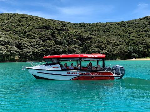 Glass Bottom Boat Tour