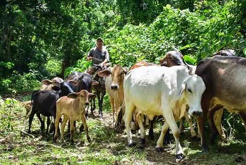 Outback_Adventures_Eco_Trails_Dominican_Republic