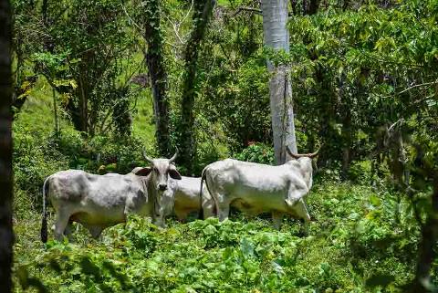 Outback_Adventures_Hiking_Trails_in_Dominican_Republic