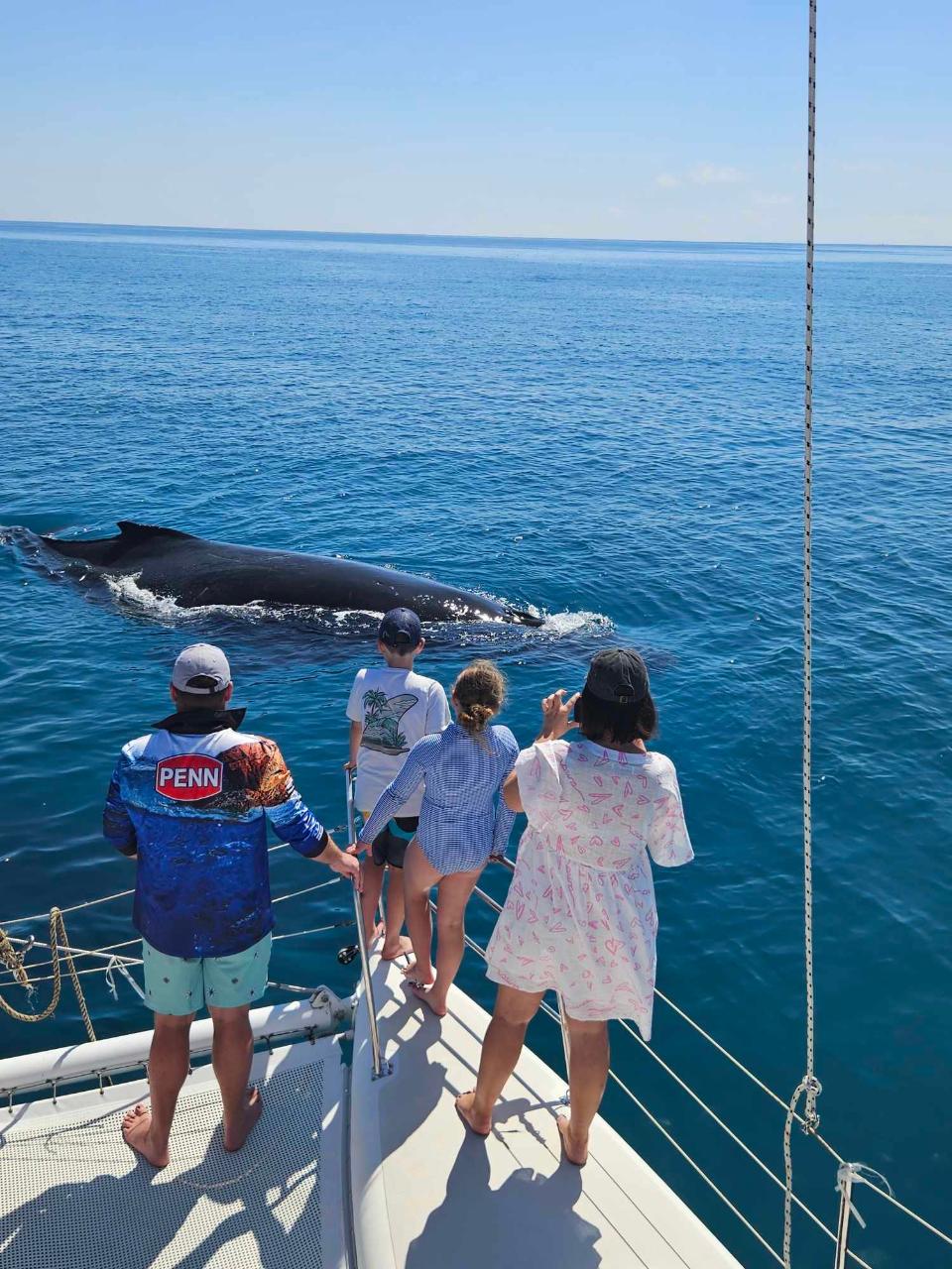 Cabin Hire 2-Day, 1-Night Whale Watching Experience