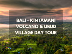 Bali - Kintamani Volcano & Ubud Village Day Tour