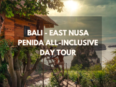 Bali - East Nusa Penida All-inclusive Day Tour