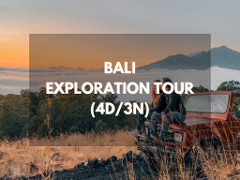 Bali Exploration Tour (4D/3N)