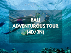 Bali Adventure Tour (4D/3N)