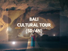 Bali Cultural Tour (5D/4N)