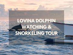 Bali – Lovina Dolphin Watching & Snorkeling Tour