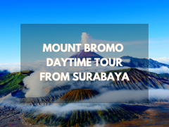 Mount Bromo Daytime Tour – From Surabaya