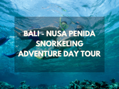 Bali - All Inclusive Nusa Penida Snorkeling Adventure with Mantas + Kelingking Cliff