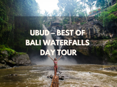 Ubud – Best of Bali Waterfalls Day Tour