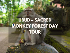 Ubud – Sacred Monkey Forest Day Tour
