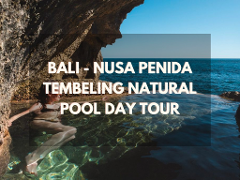 Bali - Nusa Penida Tembeling Natural Pool Day Tour