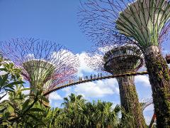 Gardens By The Bay Corporate Walking Tour